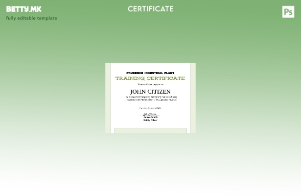 Модерен стил на САД Шаблон за сертификат за обука во Word и PDF формат, шаблон з